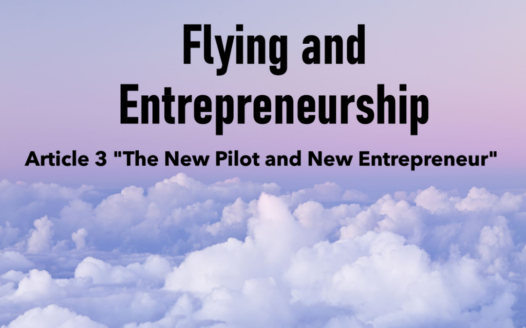 A New Pilot and New Entrepreneur have a lot in common!